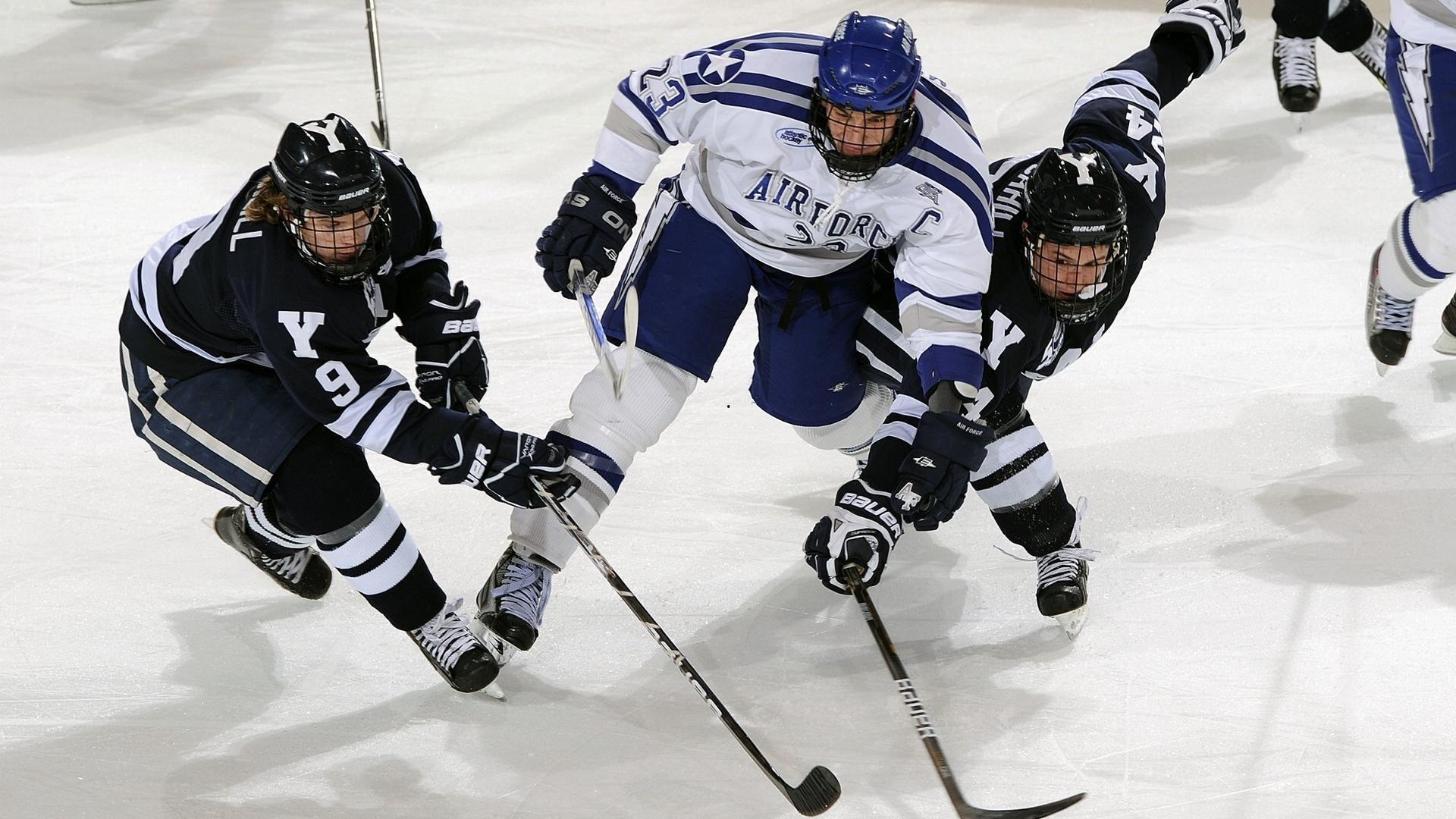 坚韧公牛逆袭强敌，困境中绽放不屈光芒